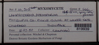 Image Associated With the Occurence